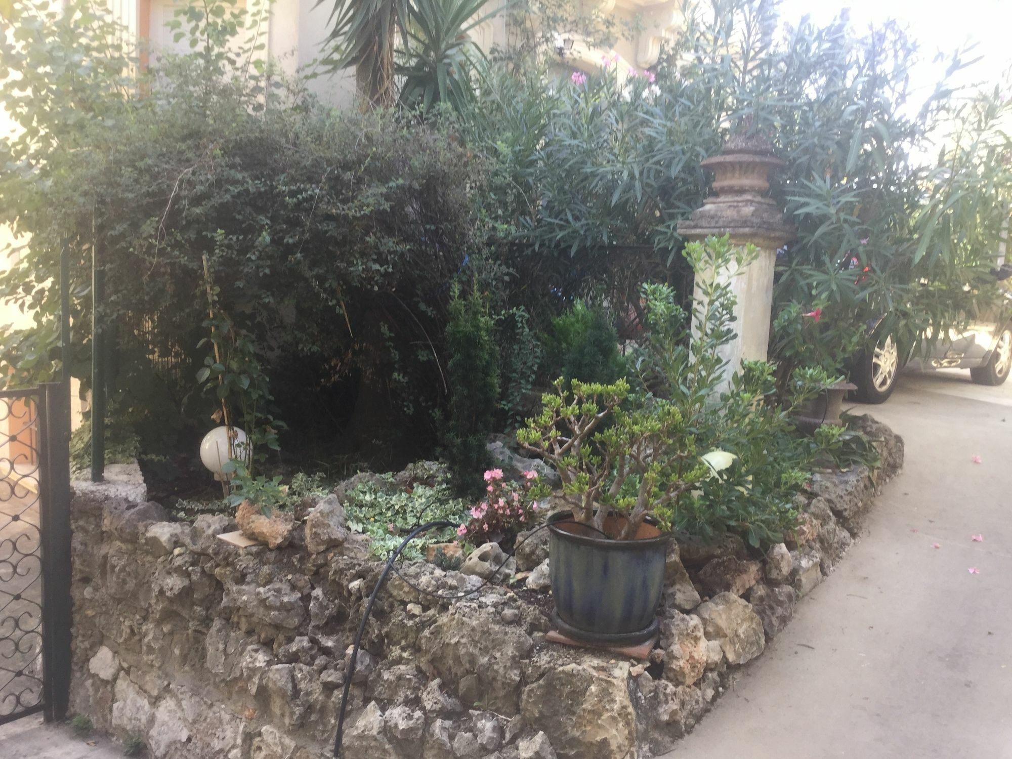 Hotel A L'Ombre Du Cedre Hyères Esterno foto